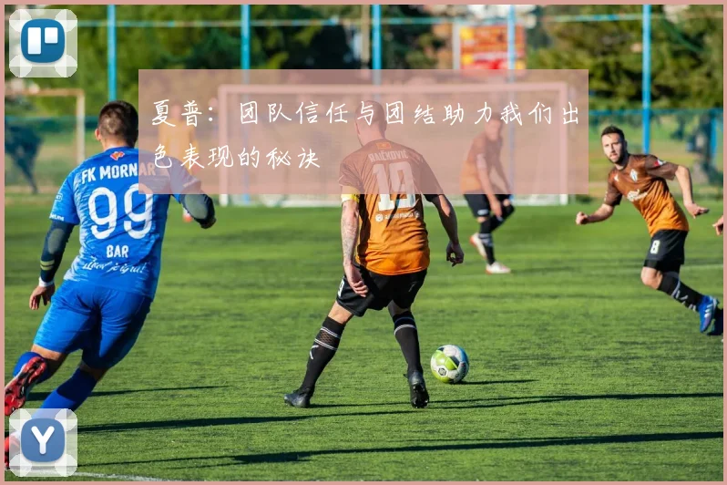 夏普：团队信任与团结助力我们出色表现的秘诀