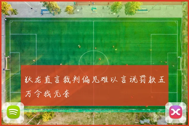狄龙直言裁判偏见难以言说罚款五万令我无奈
