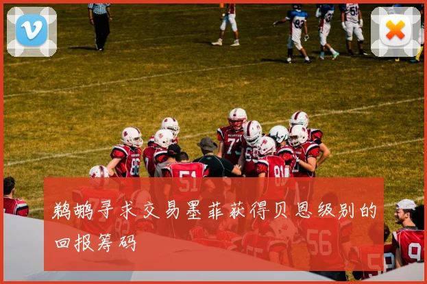 鹈鹕寻求交易墨菲获得贝恩级别的回报筹码