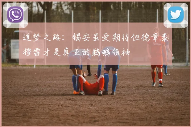 追梦之路：锡安虽受期待但德章泰穆雷才是真正的鹈鹕领袖