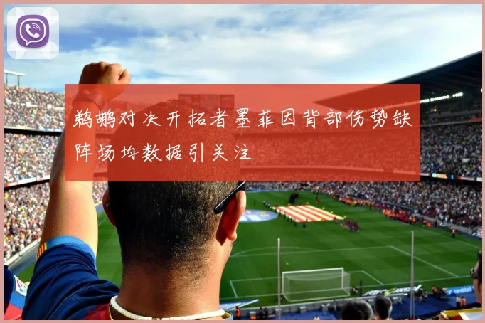 鹈鹕对决开拓者墨菲因背部伤势缺阵场均数据引关注